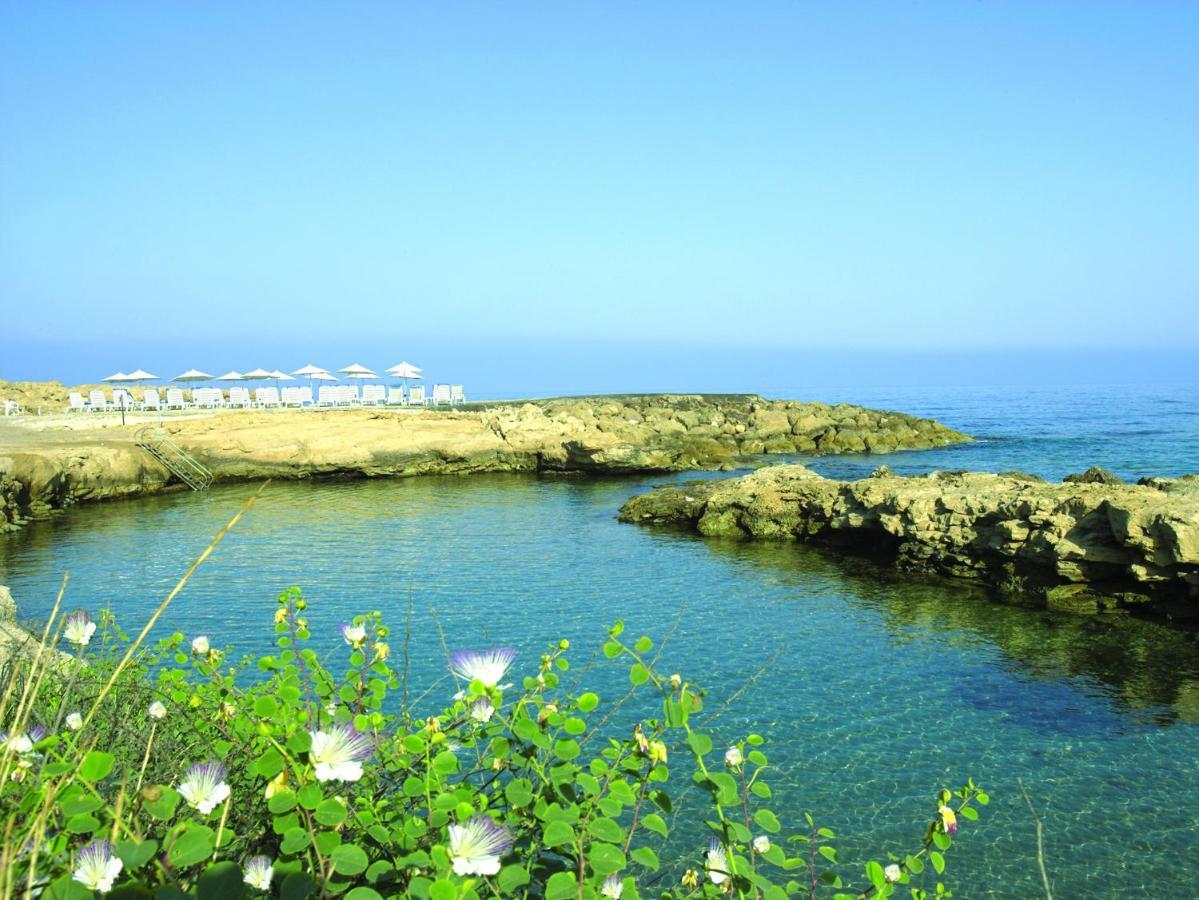 Cynthiana Beach Hotel Кисонерга Съоръжения снимка